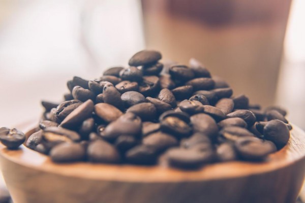Coffee Lover