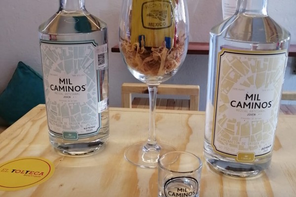 Pack de Mezcal Artesanal Mil Caminos