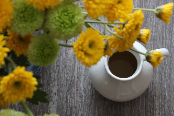 Infusiones y Tisanas
